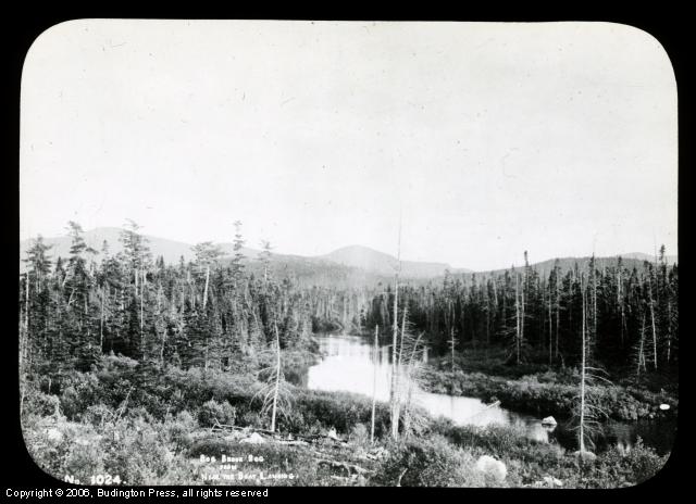 Bog Brook Bog